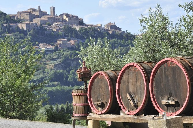 Chianti Half-Day Wine Tour in the Tuscan Hills Small Group From Lucca - Exploring a Renowned Tuscan Estate