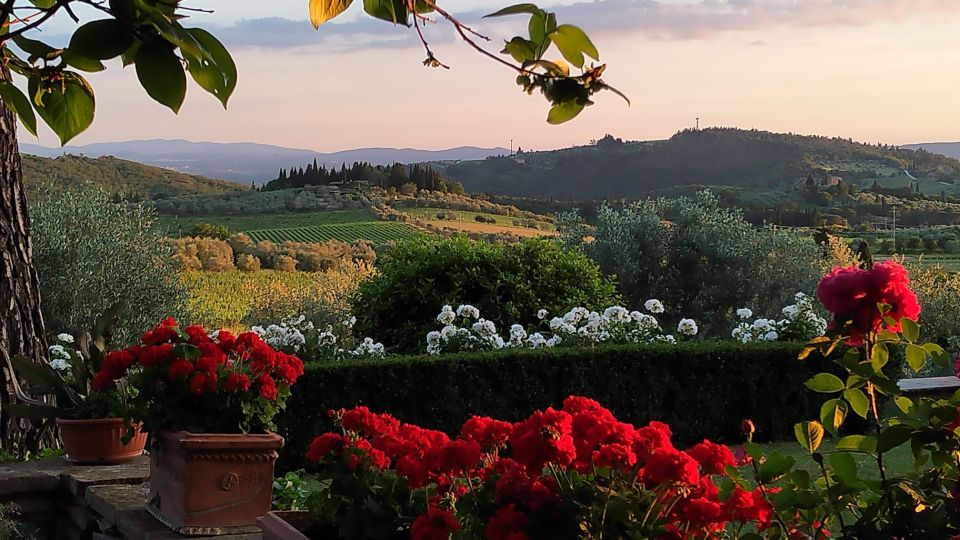 Chianti Winery Visit: Wine Journey From Vineyard to Bottle - Detailed Itinerary