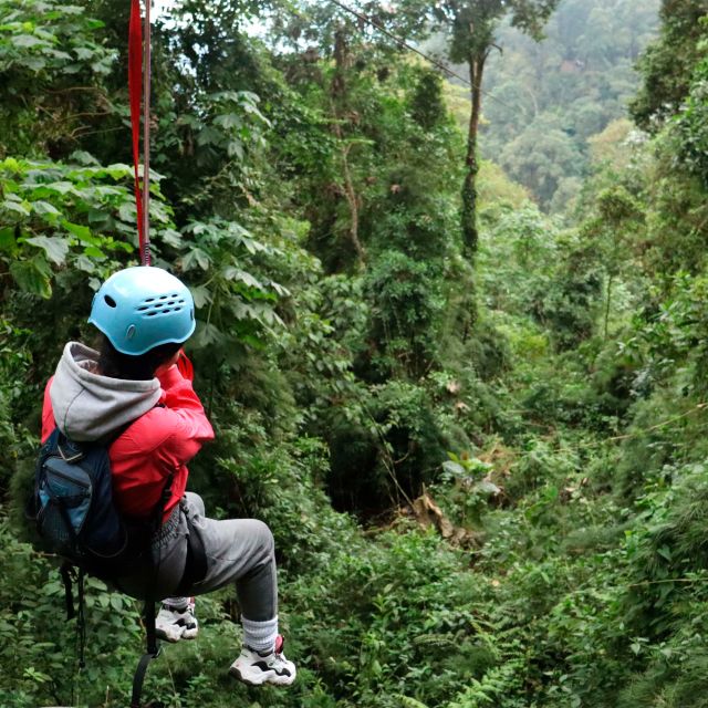 Chicaque Foggy Forest Hike - Experience and Itinerary