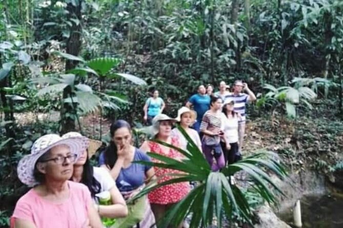 Chocolate and Coffee Tour Farm Don Jorge - Unique Farm Experience