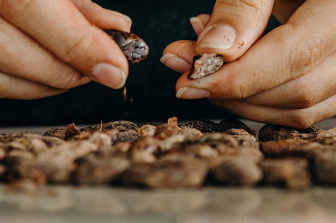 Chocolate Master Class - Participant Feedback and Ratings