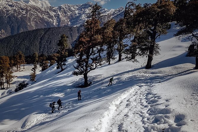 Chopta Trek - Detailed Itinerary
