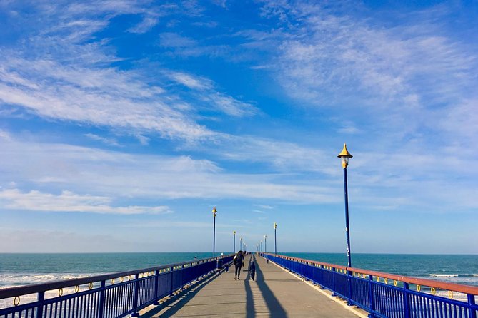 Christchurch Scenic Tour (1 Day Tour) - Tour Itinerary Highlights
