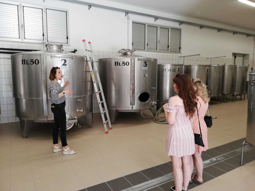 Cilentos Wine Tour: Discover the Secrets - Experience Highlights