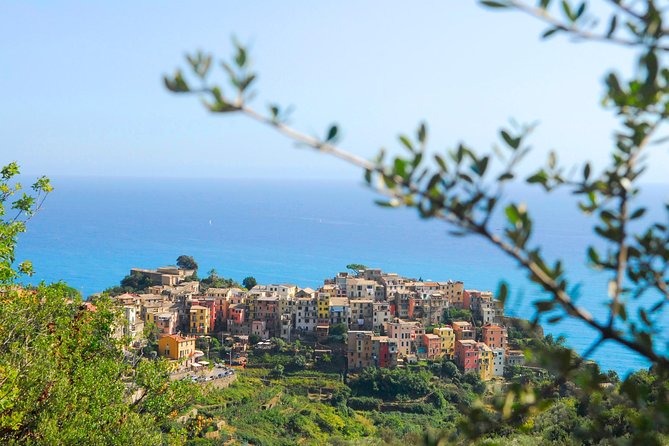 Cinque Terre Pesto Making Class, Boat Tour and Lunch - Meeting Points and Accessibility