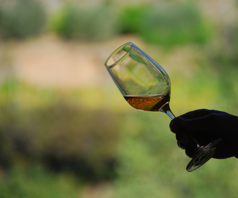 Cinque Terre: Wine Tasting in Monterosso - Local Wines to Sample
