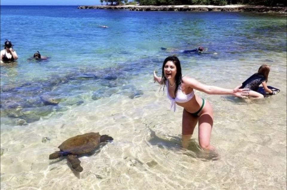 Circle Island: Swim With Turtles And Explore Paradise Oahu - Itinerary