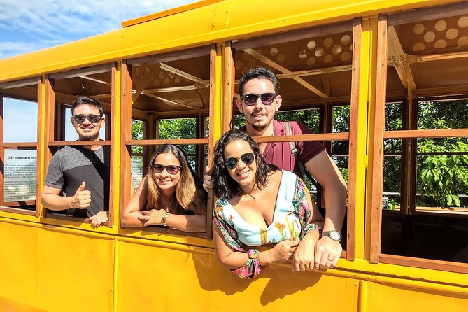 CITY TOUR - a Day in Rio (Tourist Guide + Transportation) - Transportation Options Available