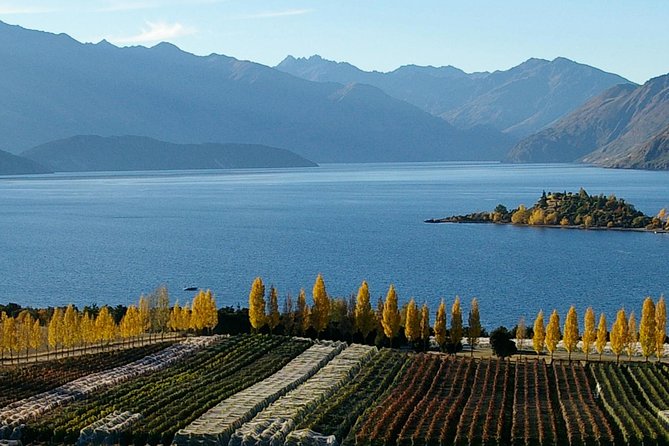 Classic Wanaka Wine Tour - Tour Inclusions and Logistics