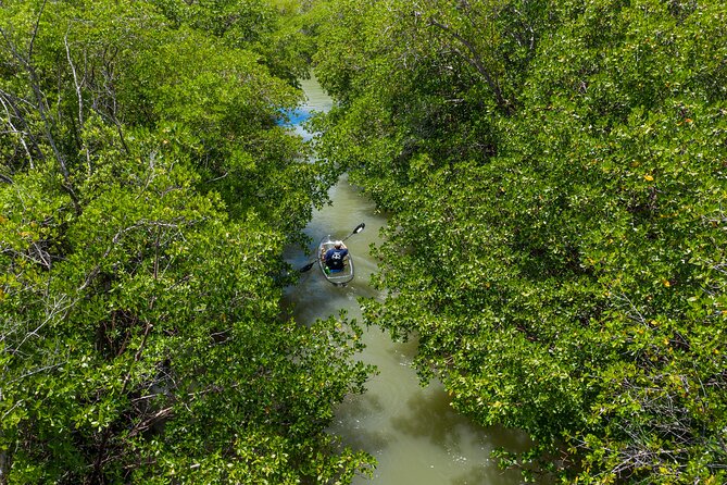 Clear Kayak Guided Tours in Naples - Tour Details and Logistics