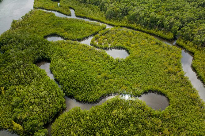 Clear Kayak Tour in North Miami Beach - Mangrove Tunnels - Safety Considerations