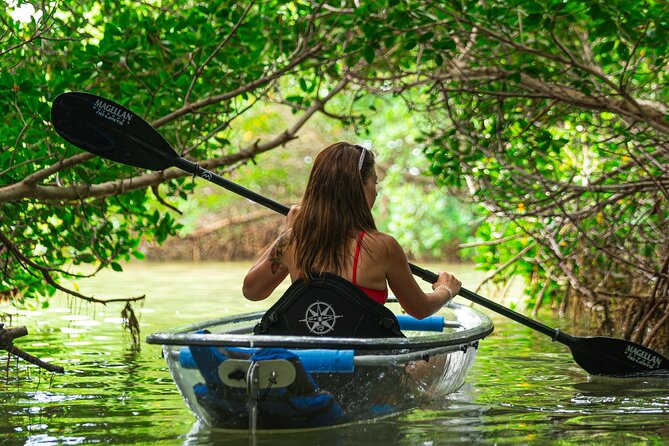 Clear Kayak Tour of Shell Key Preserve and Tampa Bay Area - Meeting and Pickup