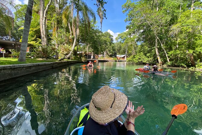 Clear Kayak Tours in Weeki Wachee - Wildlife Encounters on the Tour