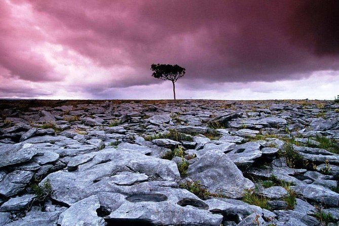 Cliffs of Moher, Aran Island & Burren Tour From Galway. Guided. - Cliffs of Moher Exploration