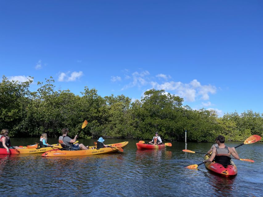 Cocoa Beach: Daytime Guided Kayak Eco-Tour - Whats Included