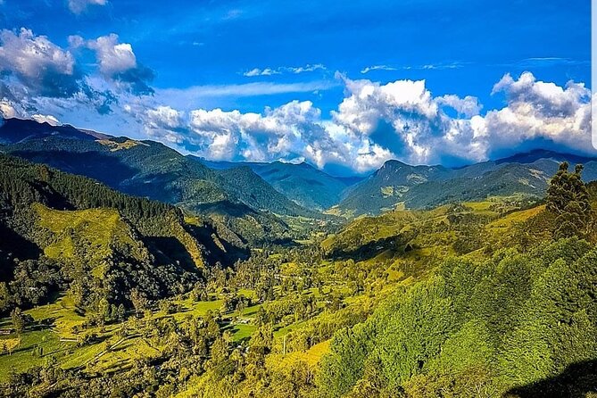 Cocora, Salento and Filandia (The Daughter of the Andes) Walking Tour in Quindio - Cocora Valley Experience