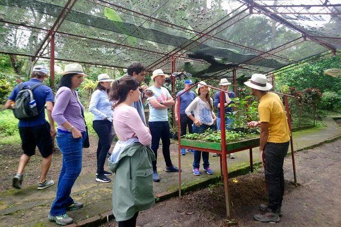 Coffee Tour in Hacienda Coloma in Fusagasugá From Bogotá (Private Tour) - Coffee-Making Process Explained