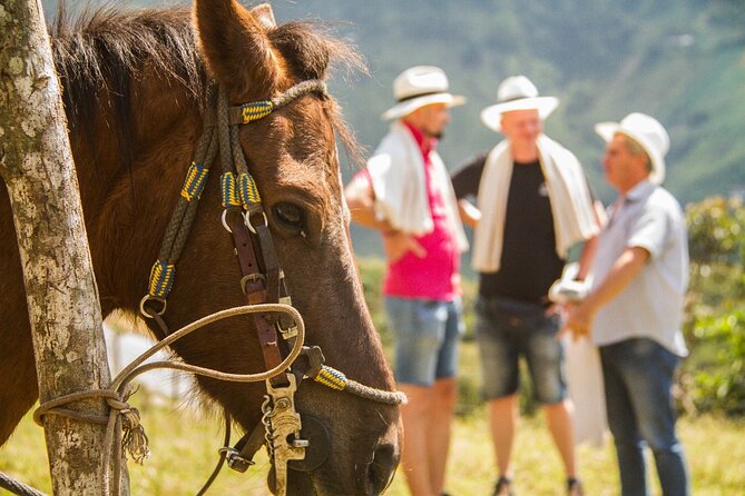Coffee Tour In Horse Riding and Lunch In Medellin - Inclusions and Activities