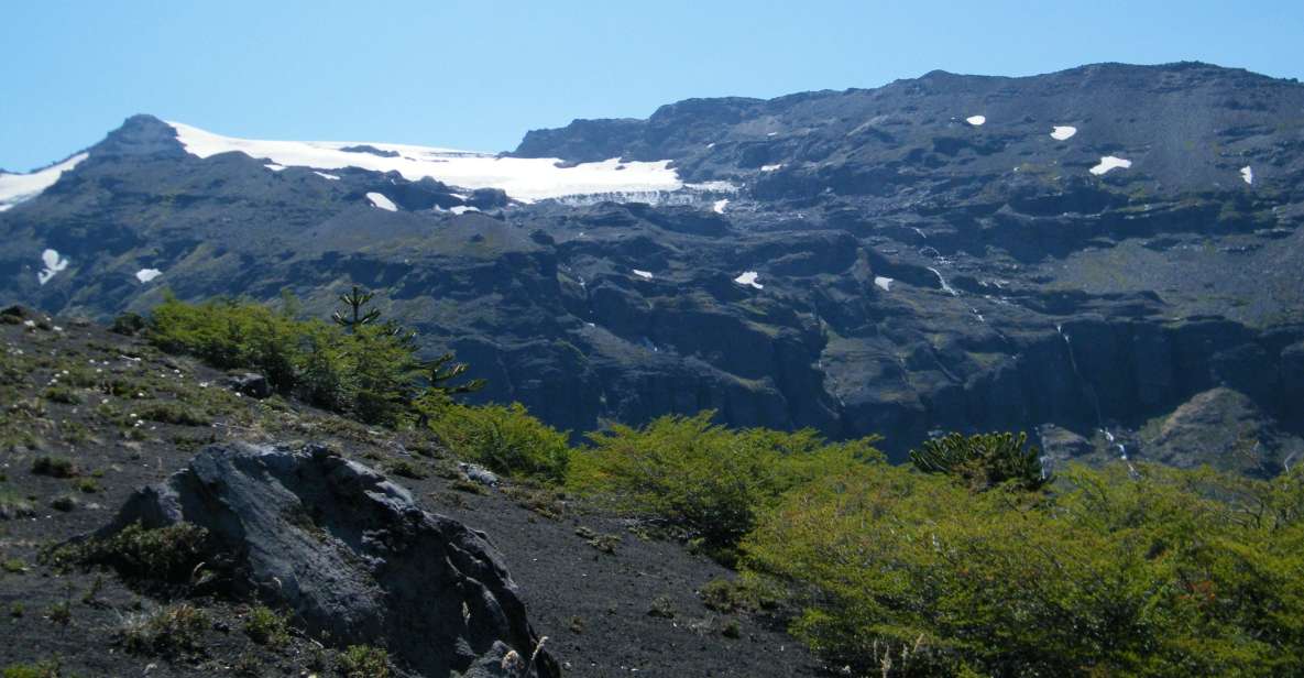 Conguillío National Park Tour - Full Day - Itinerary Highlights