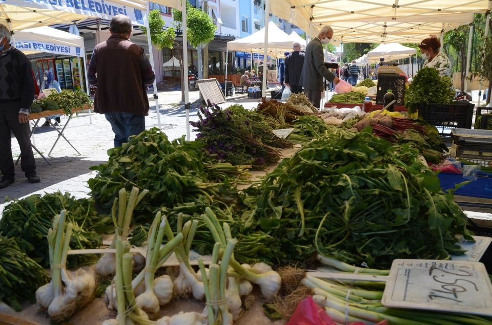 Cooking Class in Selcuk ( Ephesus) and Market Exploration - Pricing Details