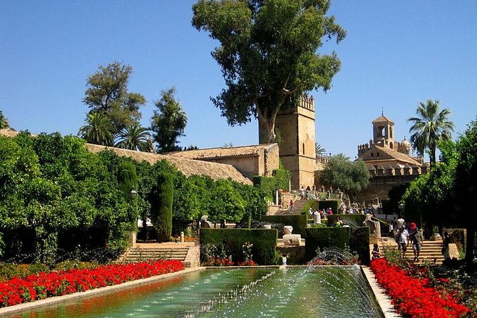 Cordoba Including Mosque and Cathedral Guided Tour From Seville - Highlights of the Tour