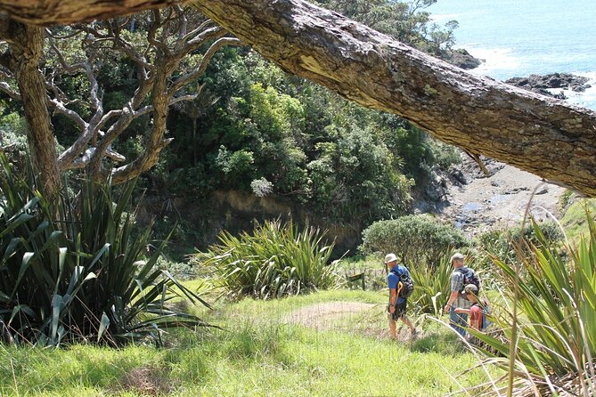 Coromandel Coastal Walkway: Full-Day Hike and Bike Tour - Included Amenities