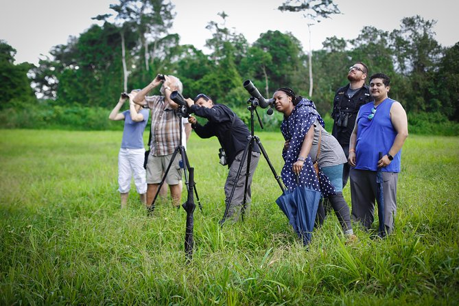 Costa Rica Sloth Tour in La Fortuna - Expert Guides and Their Role