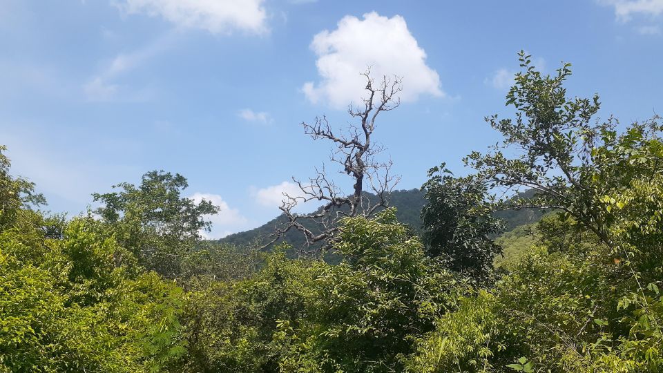 Countryside Arawali Hills Hiking Tour - Experience Highlights