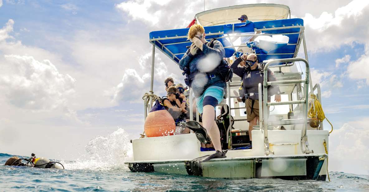 Cozumel: 1 Tank Certified Scuba Diving - Diving Equipment Provided