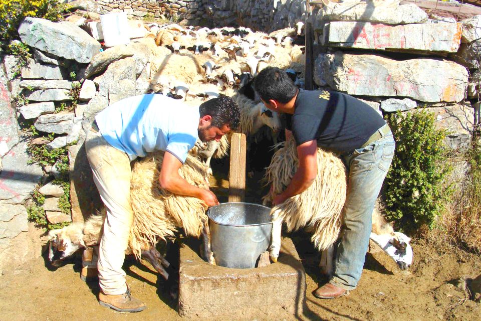 Crete: Jeep Safari, Mountains, Goat-Keeping & Cheese Making - Experience Highlights