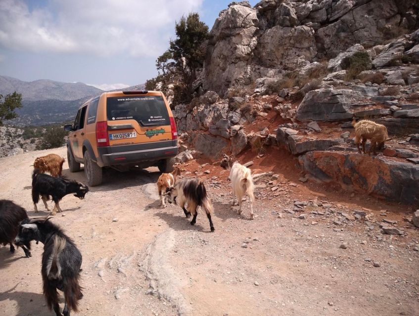 Crete: VIP Full-Day Private Tour - Transportation and Accessibility