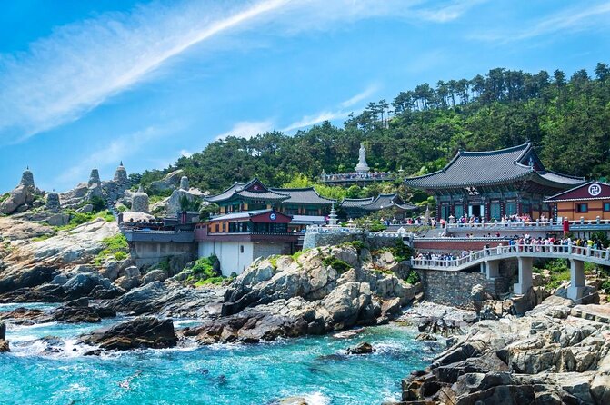 Cruise Layover : Small Group Busan Essential Tour - Meeting Point Details