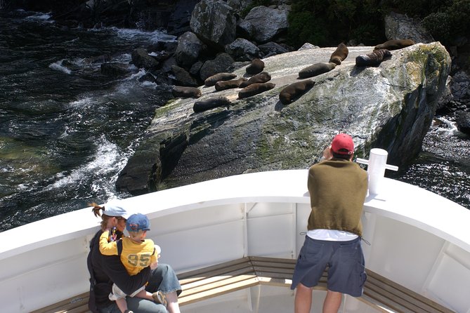 Cruise Milford NZ Small Boutique Cruise Experience - Tour Highlights and Activities