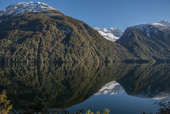 Cruise Milford Small Group Day Tour From Queenstown - Meeting and Pickup Details