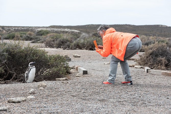 Cruise Shore Excursion Ea San Lorenzo Peninsula Valdes - Patagonia - Argentina - Pickup and Meeting Details