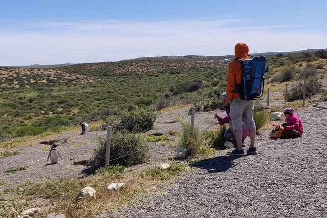Cruise Shore Excursion Punta Tombo - Tickets Included - Puerto Madryn Patagonia - Meeting Point and Timing