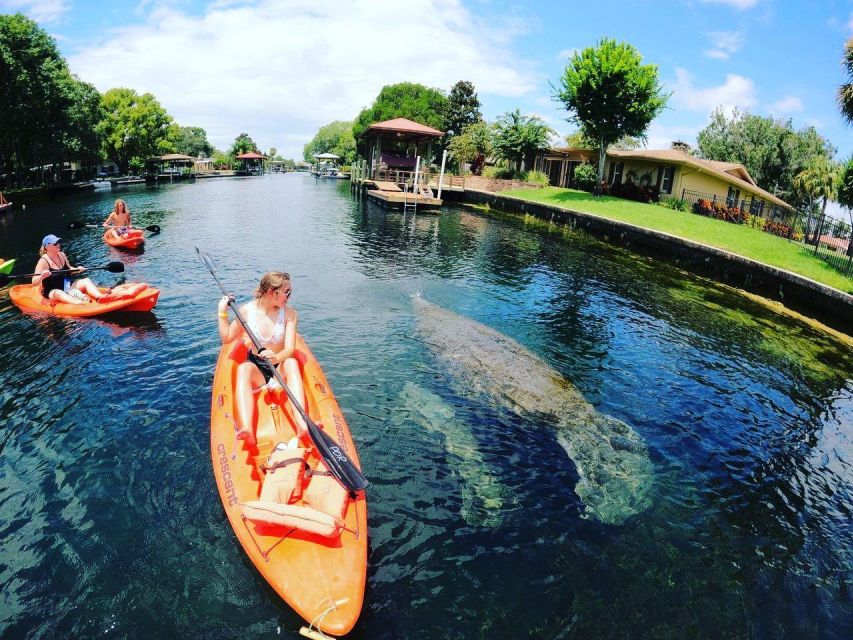 Crystal River: Kayak Rental - Activity Highlights