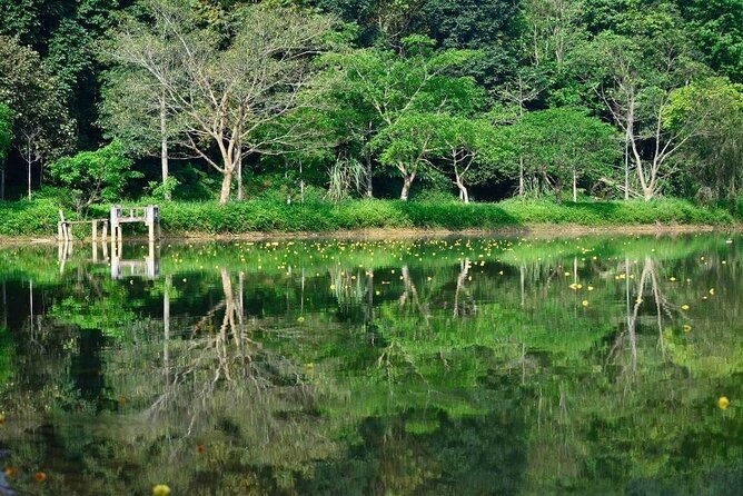 Cuc Phuong National Park Private Day Tour: Trekking & Primates - Inclusions and Amenities