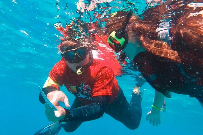 Culebra Island Snorkel and Turtle Adventure With Ferry Transport - Seagrass Bed Snorkeling