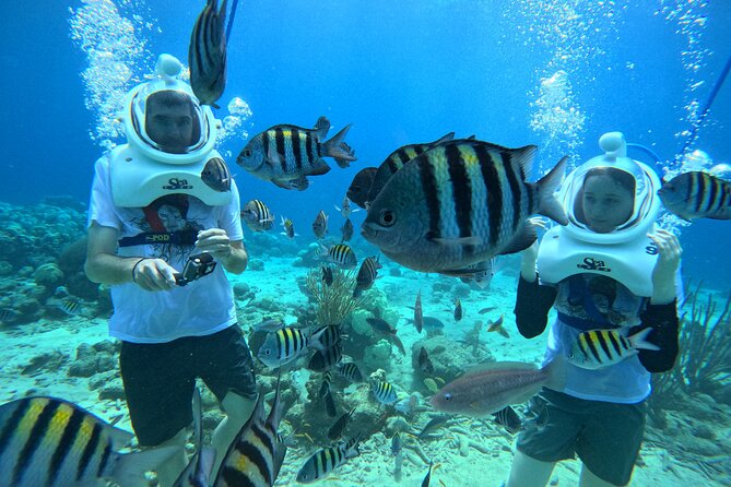 Curacao Guided Underwater Walking Tour No Swimming Skills Needed - Inclusions