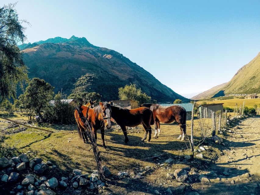 Cusco: Full-Day Humantay Lake With Picnic - Detailed Itinerary