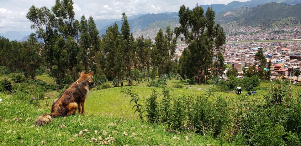 Cusco: Hidden Incan Temples Full-Day Horseback Riding Tour - Detailed Itinerary