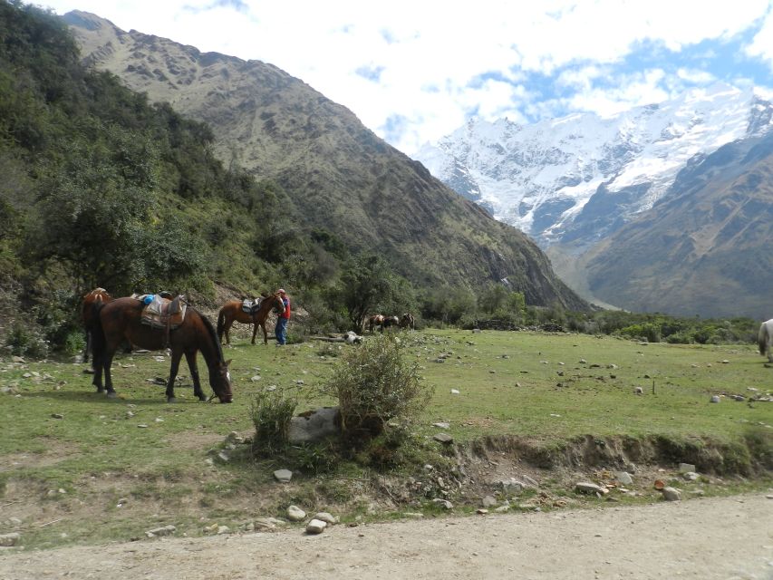 Cusco: Humantay Lake All-inclusive Full-day Tour - Inclusions and Benefits