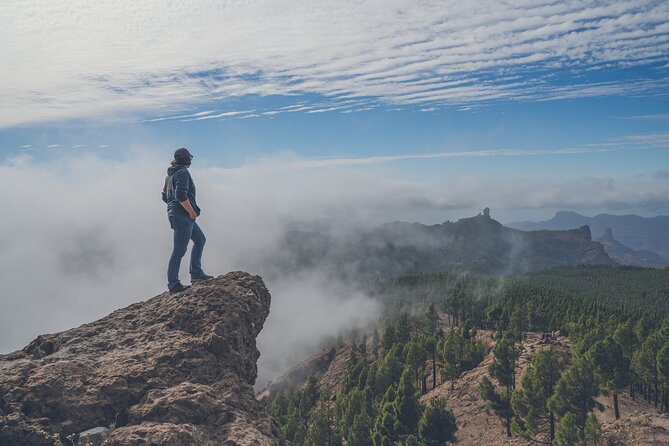 Custom Private & VIP Highlights Tour of Gran Canaria - Unique Features and Inclusions