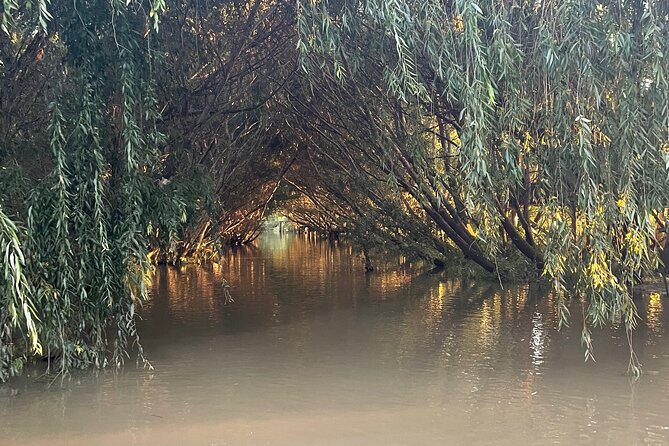 Customized Tigre Delta Tour Lunch and Drink Included - Schedule and Timing