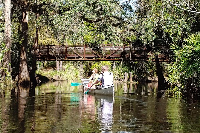 Cypress Forest Guided Kayak Nature Eco-Tour - Guided Experience and Safety