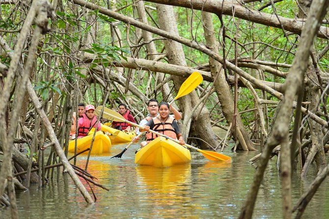 Damas Island Mangrove Kayaking Tour From Manuel Antonio - Wildlife Encounters