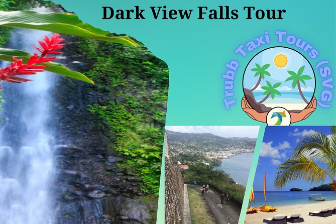 Dark View Falls Tour With Trubb Taxi Tours SVG - Pricing and Booking Information