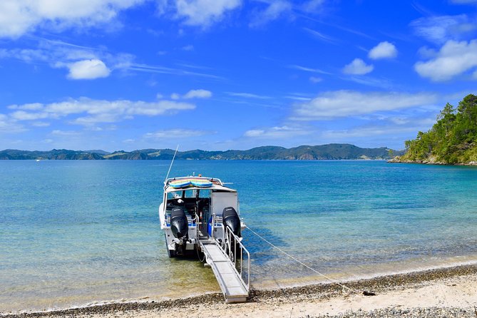 Day Cruise & Island Tour - Snorkel/Wildlife/Paddleboard/Islands - Itinerary and Schedule