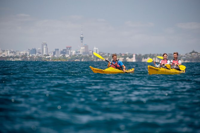 Day Sea Kayak Tour Rangitoto Island - Itinerary Highlights